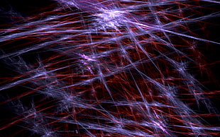 shallow focus of red and blue ligfhts